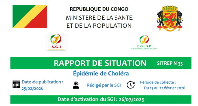 Epidémie de choléra : rapport de situation N°33